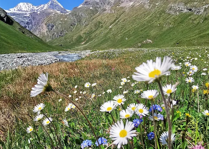 Oberprossegg Matrei in Osttirol