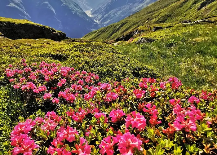 Oberprossegg Lejlighed