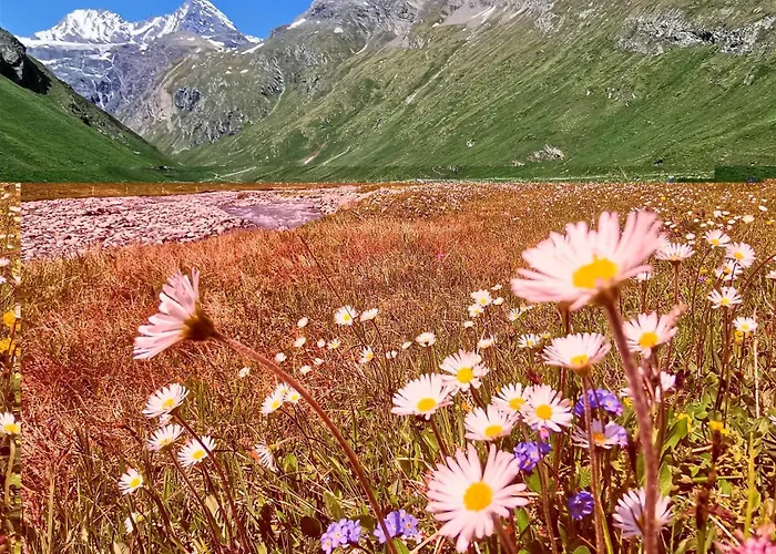 Lejlighed Oberprossegg *