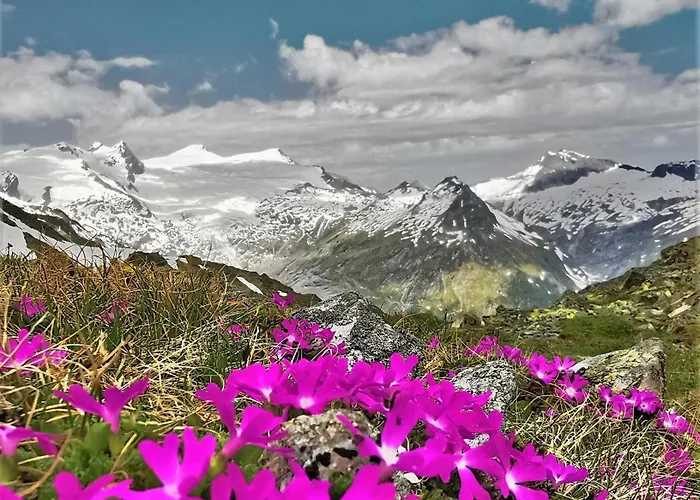 Lejlighed Oberprossegg *