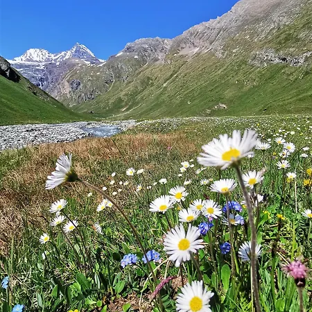 Oberprossegg Matrei in Osttirol
